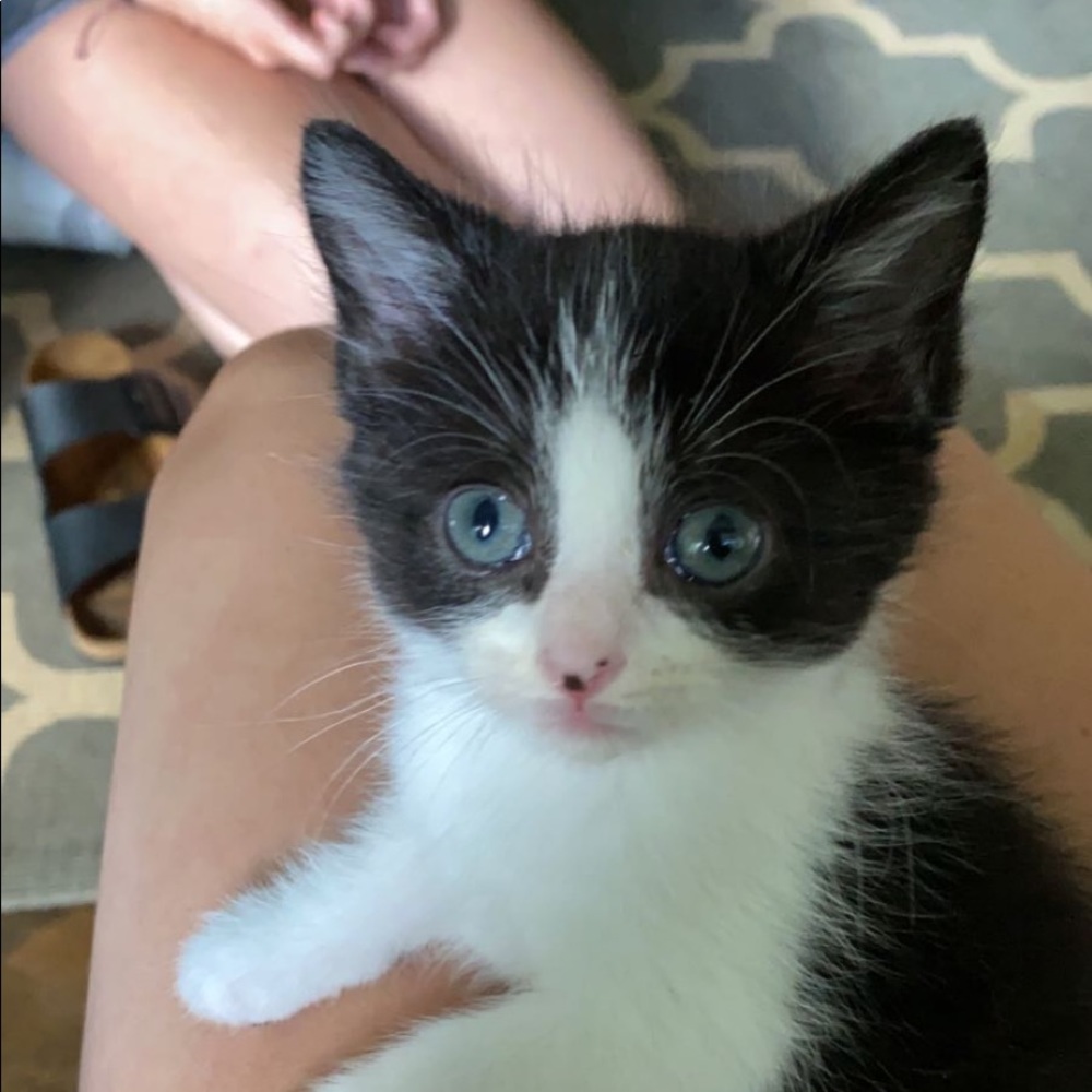 Meet your Posher, Avery